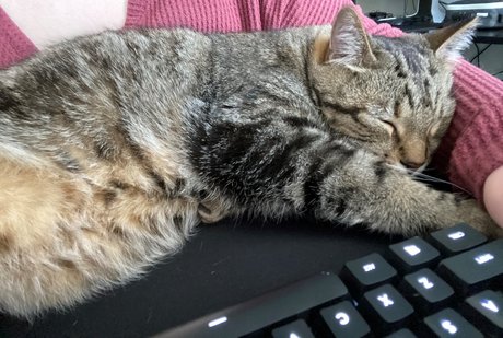 Alice in Bliss onlyfans free content