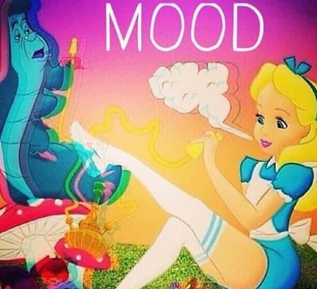 Stoner Beauty Feet onlyfans mega