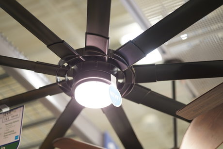 Austin Zeli onlyfans leaked naked