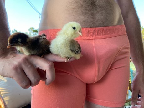 Only Chicken Fans xxx onlyfans