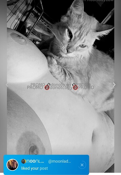 One Sweet One_ only fans nude