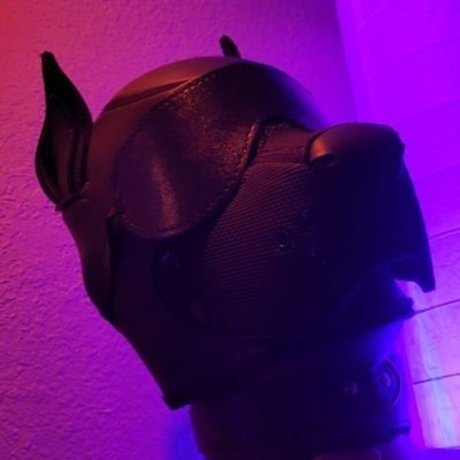 OneStretchyPup onlyfans free