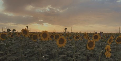 Omnipotentjade only fans nudes