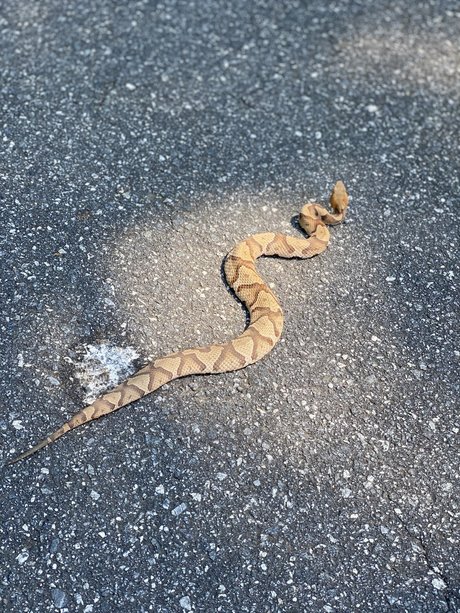 SlingBlade33 nude onlyfans pics