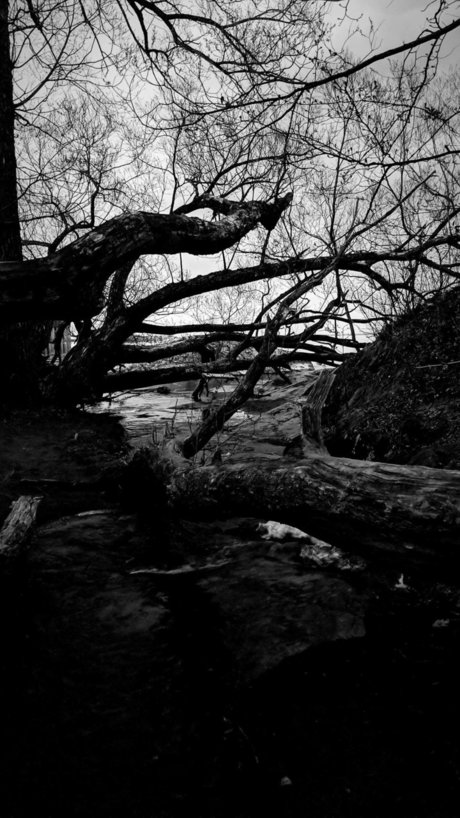 Faceless onlyfans porn leak