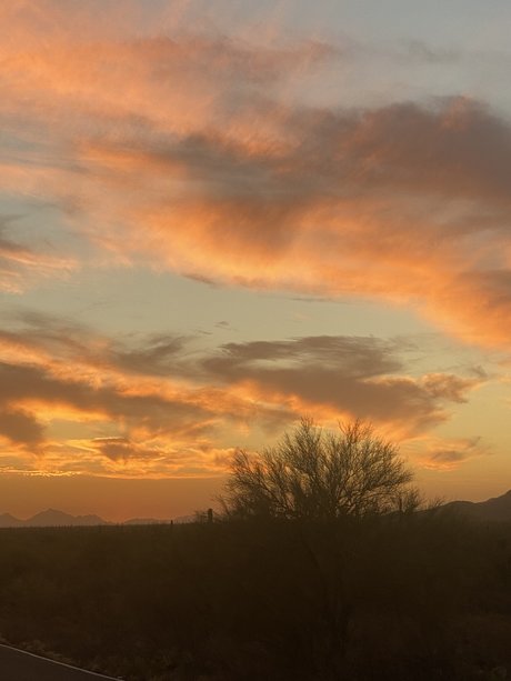 Oliver Quinn naked onlyfans