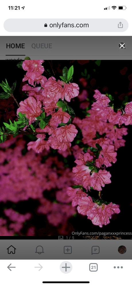 Joanna Belle nudes onlyfans leaked