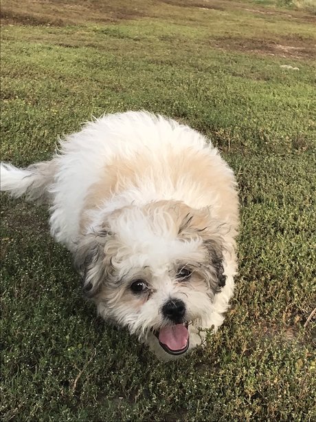 Paash only fans leaked porn