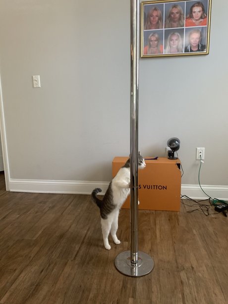 el osito nudes only fans