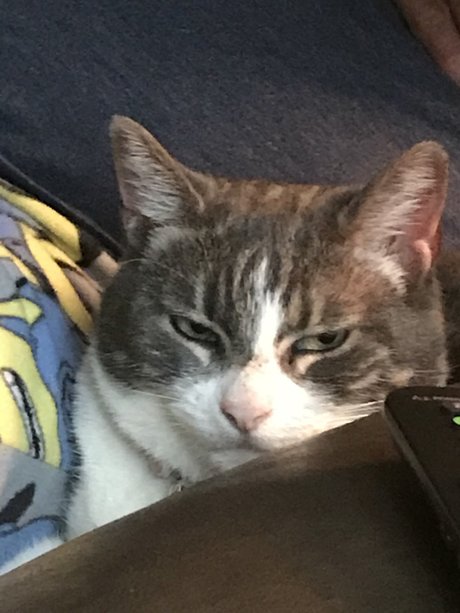 Pussyeater onlyfans free content