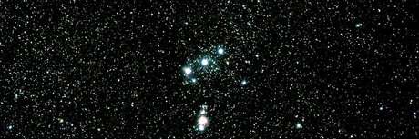 Nex onlyfans nude pics