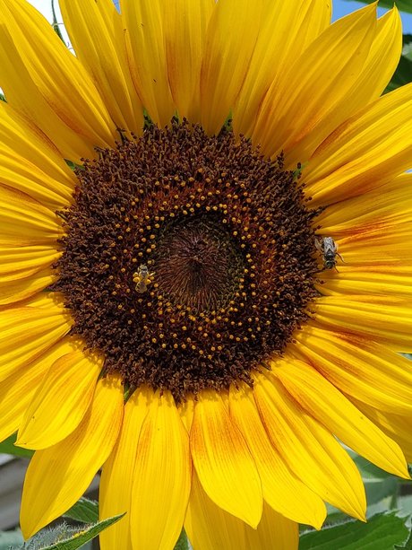 Oregongrl33 onlyfans leaked sex