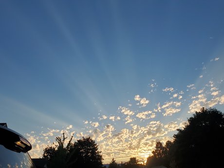 Oregongrl33 only fans