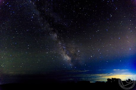 OPP Charlie leaked only fans