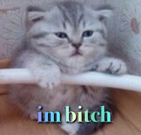 phoenix princess new onlyfans leak