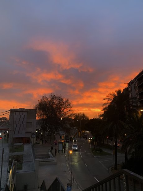 Mork onlyfans porn nude