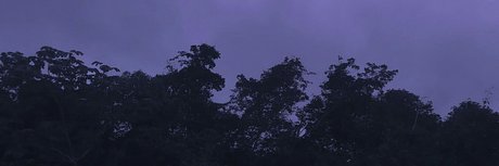 Hunter Rose onlyfans free