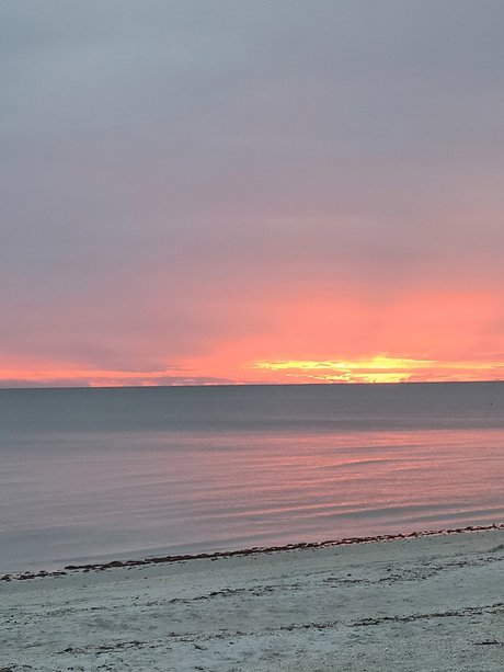 Pastel Pearl leaked onlyfans sex tape