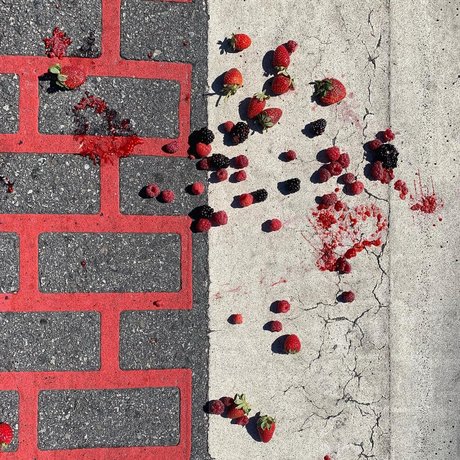 Papillon onlyfans leak