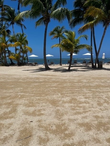 Papi Gambino onlyfans naked porn