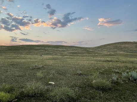 Deek onlyfans leaked.