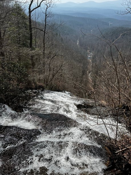 PeachStateBears only fans leaked