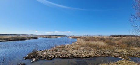 Pauppis onlyfans nude leaks