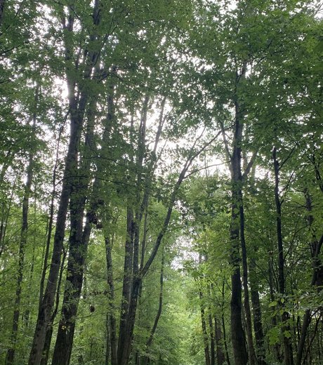 Anon Top onlyfans nudes leak