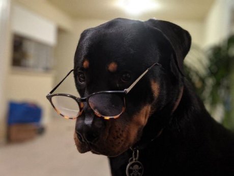 Daddy Sim_ onlyfans leaked pictures