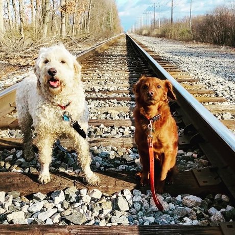 Cougarmeat onlyfans naked