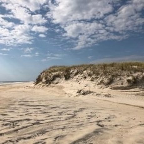 beach bum 102019 onlyfans public photos