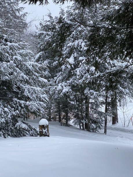 Peterovich free onlyfans porn