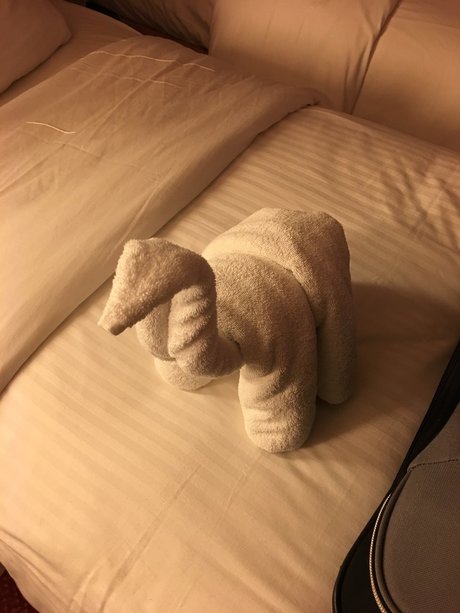 Phonyheart onlyfans porn leak