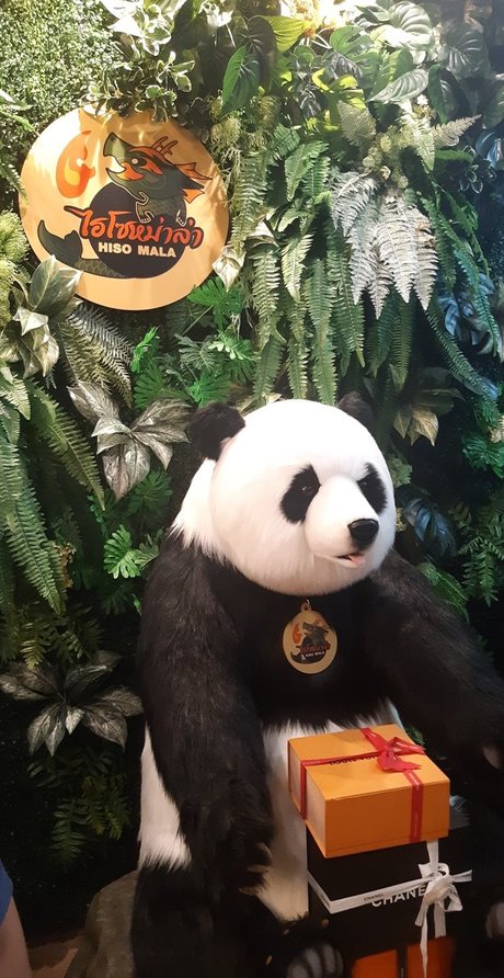 Chiba onlyfans nude porn