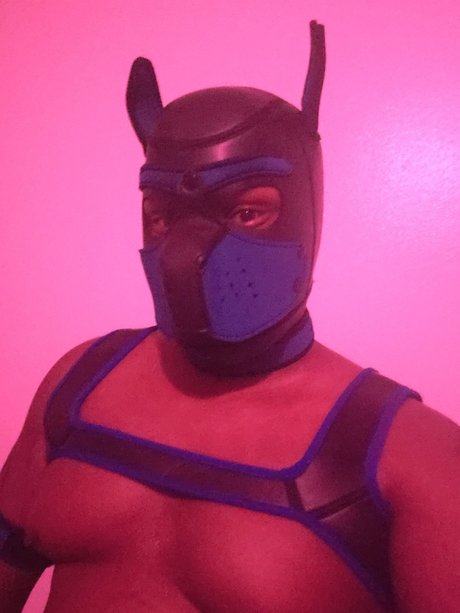 Shadow Pup onlyfans picture