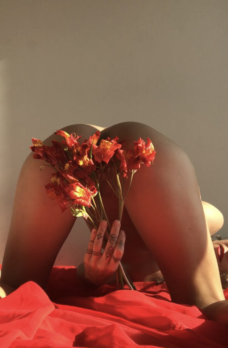 petitedelight onlyfans.