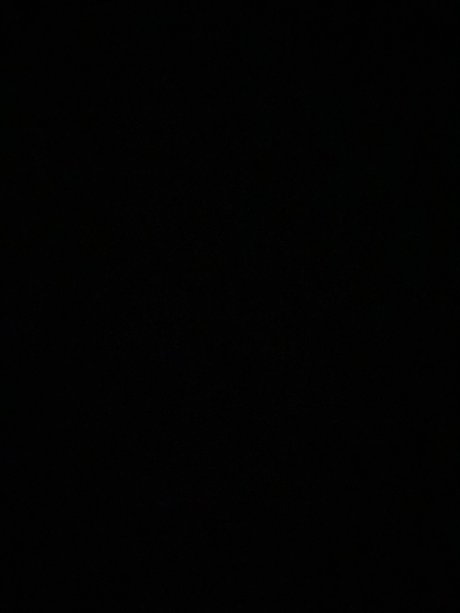 The animal leaked onlyfans