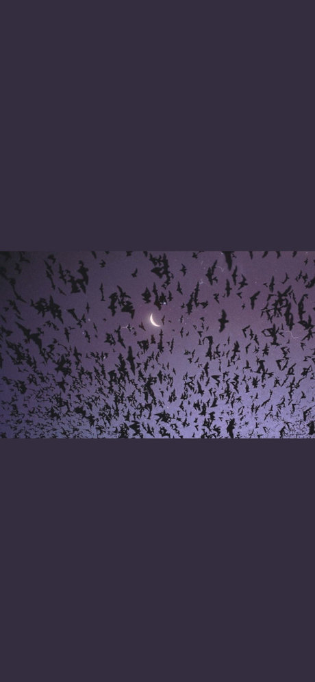 Lilith Faye only fans leaks porn