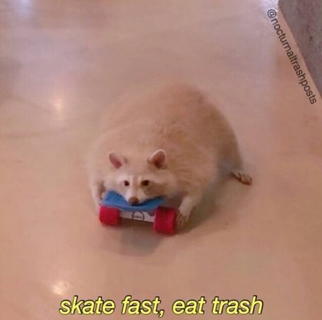 Pirate onlyfans leakes