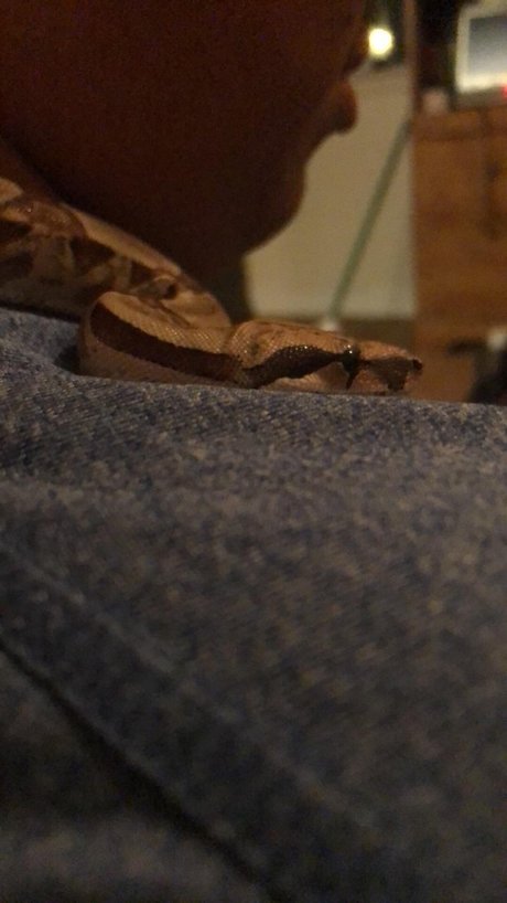 Daddy s little_ only fans pictures