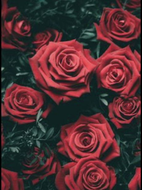 Monae Leigh joi onlyfans