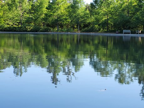 Por Amor onlyfans leaks