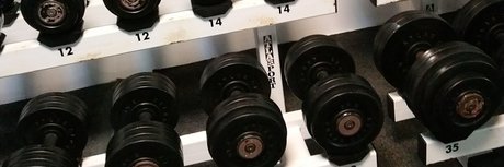 Pony Tails free only fans