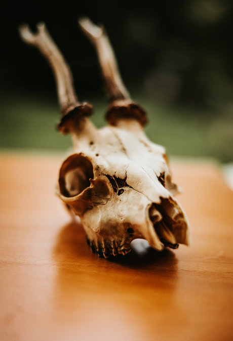 PogoFrogPicx only fans leaked