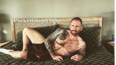 PocketGingerBear tits onlyfans