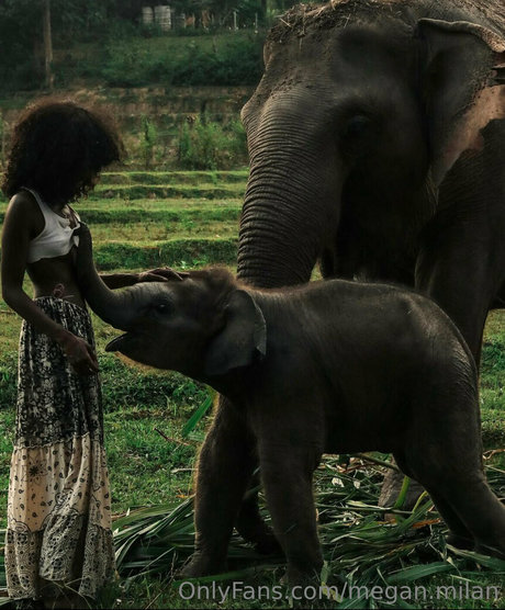 Megan Milan nudes leaked onlyfans