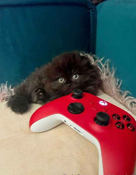 vanniallfree nude onlyfans leaked