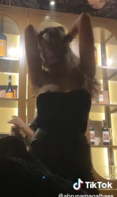 abrunamagalhaes leaked onlyfans porn