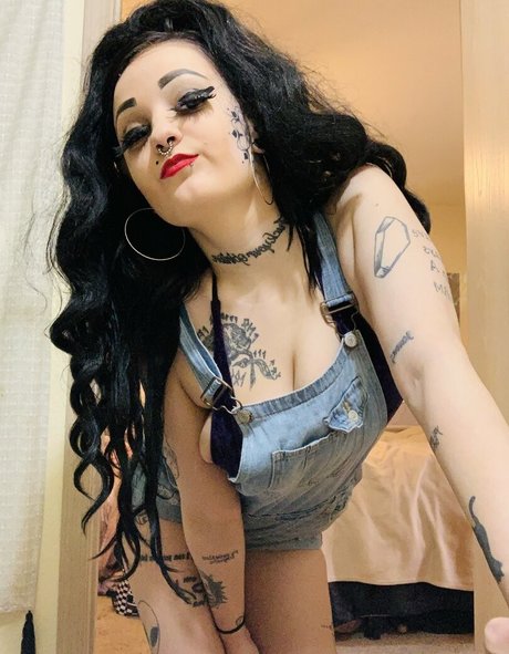 knockedxloose Profile pic