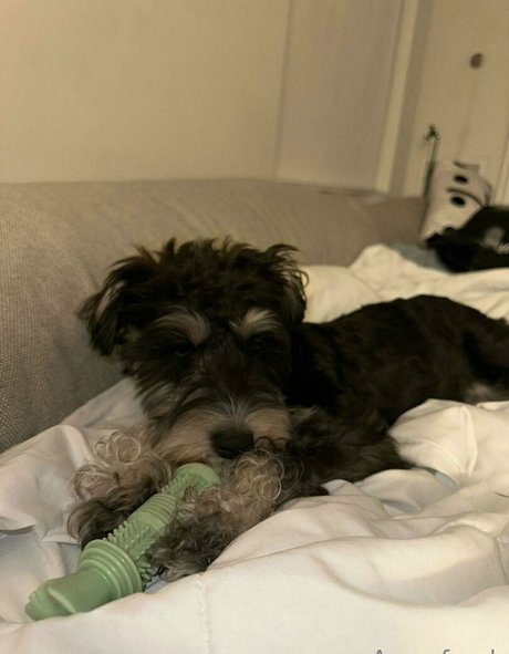 lil ann3frank onlyfans model images